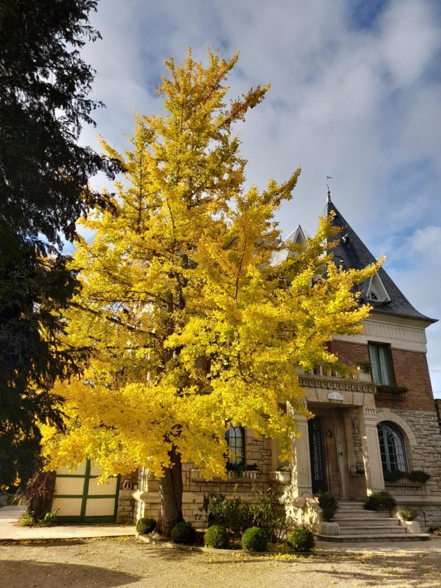 Villa Les Iris Saint-Félix Zewnętrze zdjęcie